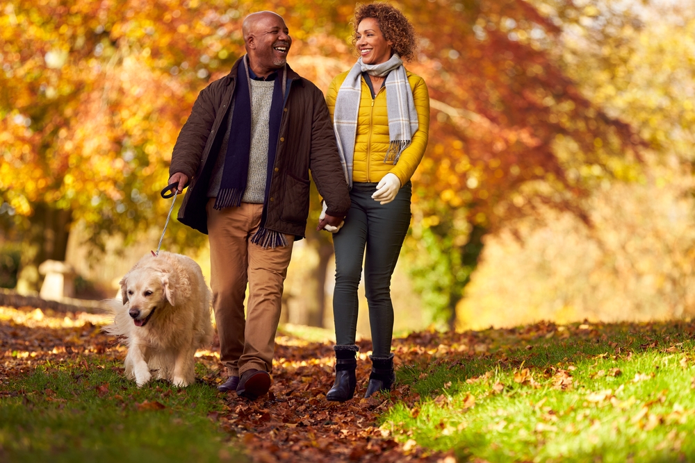 Couple Walking With Pet Golden Retriever Dog In Autumn Countryside.