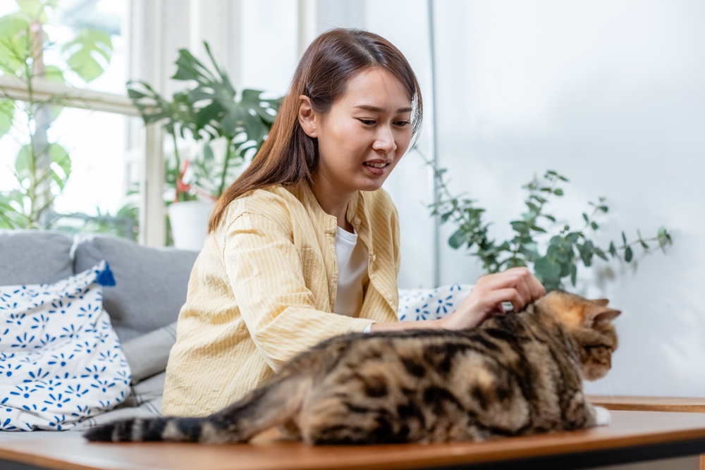 Asian woman petting cat at home.