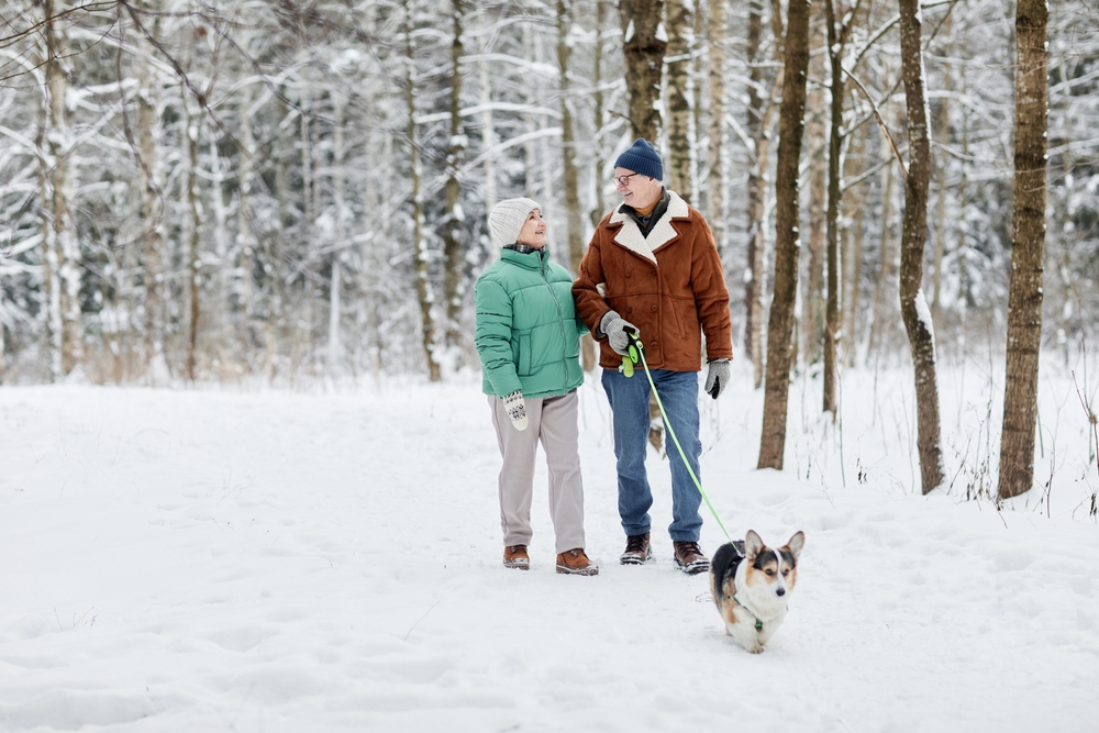 Senior couple in warm clothes walking dog in the winter snow.